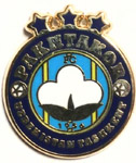 Значок фк Пахтакор (нов)